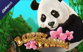 Lucky Panda Slot Tiongkok yang Menghadirkan Profit Tertinggi